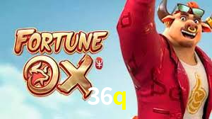 36q